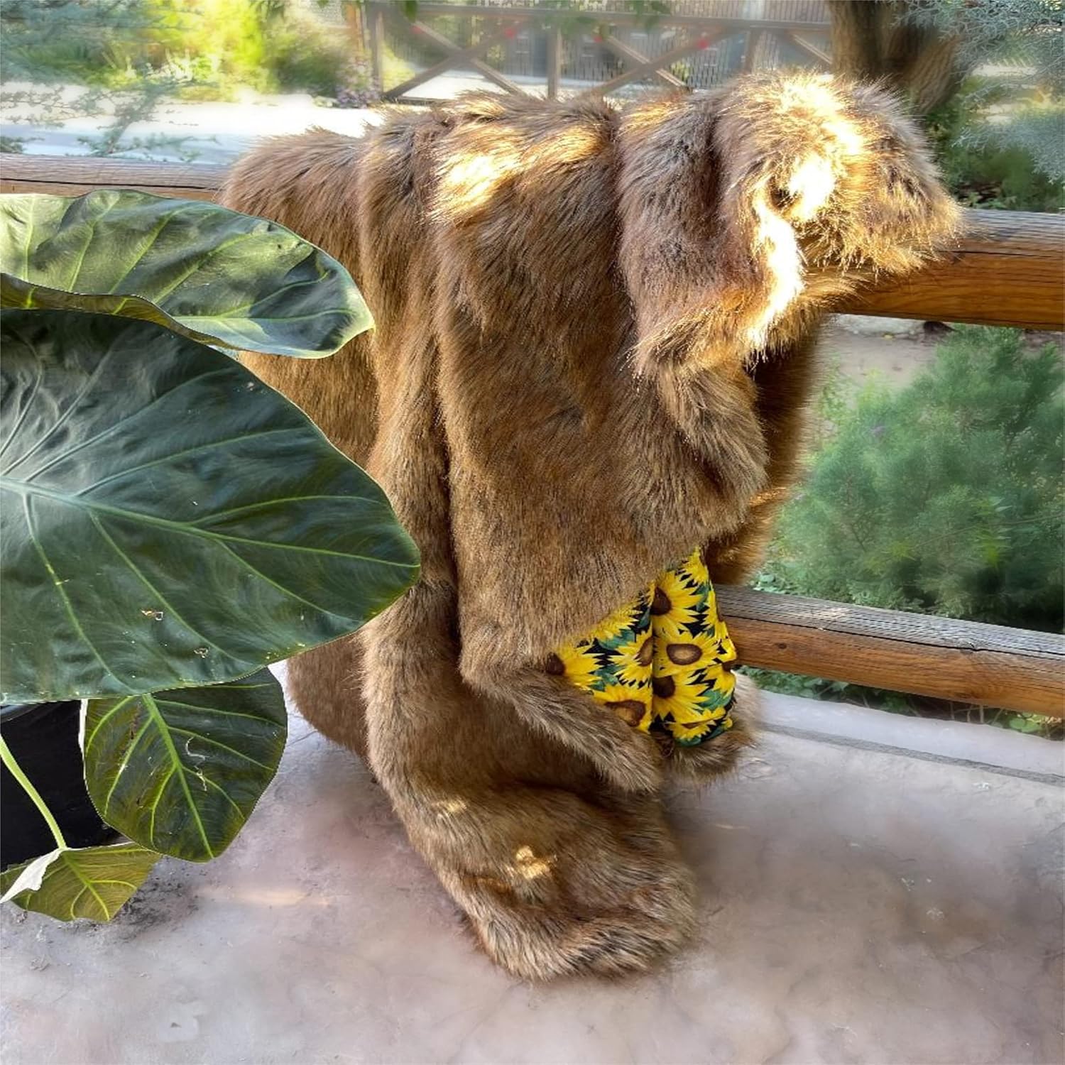Fur Accents Hand Crafted Throw, Shag Faux Fur, Light Tan Wolf, Coyote Throw Blanket with Sunflower Minky Cuddle Lining, Throw, Comforter, Plush, Hand Made USA (4'x5' Throw)